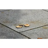 대학로 마로니에공원은 열매에서 생긴 이름