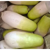 테스트2 스크린샷