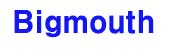 빅마우스